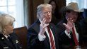 El presidente Donald Trump participa en una reunión sobre seguridad fronteriza en la Casa Blanca con líderes estatales y locales. El presidente Donald Trump participa en una reunión sobre seguridad fronteriza en la Casa Blanca con líderes estatales y locales.