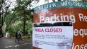 Un letrero informa del cierre del Monumento Nacional Muir Woods, en California, debido al cierre de la Administración Federal de EEUU. Un letrero informa del cierre del Monumento Nacional Muir Woods, en California, debido al cierre de la Administración Federal de EEUU.