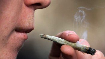 Florida, en un mediano plazo, podría ser un estado donde sería legal fumar marihuana.