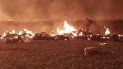 Fotografía cedida que muestra un número no cuantificado de personas calcinadas se observa en el sitio donde se ordeñaba una toma clandestina de combustible hoy, en el poblado de Tlahuililpan, en el estado de Hidalgo. Fotografía cedida que muestra un número no cuantificado de personas calcinadas se observa en el sitio donde se ordeñaba una toma clandestina de combustible hoy, en el poblado de Tlahuililpan, en el estado de Hidalgo.