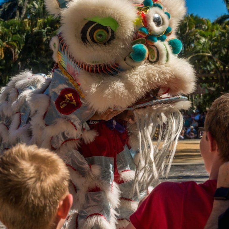 Festival del Drag&oacute;n en el Palm Beach Zoo.