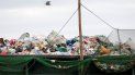 Un ave sobrevuela un contenedor de basura en la Bahía de Manila en Filipinas. Un ave sobrevuela un contenedor de basura en la Bahía de Manila en Filipinas.