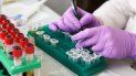Investigador trabaja en el laboratorio. Investigador trabaja en el laboratorio.