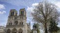 La catedral de Notre Dame en París, Francia, en 2016. La catedral de Notre Dame en París, Francia, en 2016.