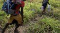 Inmigrantes buscan un mejor porvenir. Inmigrantes buscan un mejor porvenir.