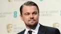 DiCaprio ganó el Óscar a mejor actor por su papel protagonista en The Revenant (2015), una película que dirigió el también mexicano Alejandro González-Iñárritu. DiCaprio ganó el Óscar a mejor actor por su papel protagonista en The Revenant (2015), una película que dirigió el también mexicano Alejandro González-Iñárritu.