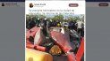 Captura de pantalla de la cuenta de Twitter del comunicador venezolano Sergio Novelli, quien publicó imágenes del suceso. Captura de pantalla de la cuenta de Twitter del comunicador venezolano Sergio Novelli, quien publicó imágenes del suceso.