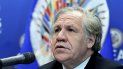 El secretario general de la Organización de Estados Americanos (OEA), Luis Almagro. El secretario general de la Organización de Estados Americanos (OEA), Luis Almagro.