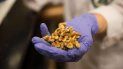 Quienes consumen nueces podrían reducir a la mitad el riesgo de desarrollar diabetes tipo 2. Quienes consumen nueces podrían reducir a la mitad el riesgo de desarrollar diabetes tipo 2.