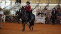 Sophia González conduce a La Novia de Besilu, que quedó en segundo lugar en la prueba amateur para yeguas de siete años o más en el campeonato de caballos de paso fino Spectrum International, en el Tropical Park, en Miami, el viernes 24 de mayo del 2019. Sophia González conduce a La Novia de Besilu, que quedó en segundo lugar en la prueba amateur para yeguas de siete años o más en el campeonato de caballos de paso fino Spectrum International, en el Tropical Park, en Miami, el viernes 24 de mayo del 2019.