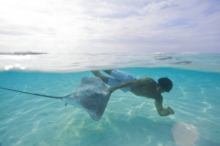 Se puede bucear en el mar con mantarrayas. 