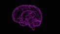 En este momento, no existe cura para el Alzheimer, pero hay tratamientos disponibles para los síntomas, mientras los estudios investigativos continúan. En este momento, no existe cura para el Alzheimer, pero hay tratamientos disponibles para los síntomas, mientras los estudios investigativos continúan.