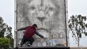 El mexicano Arnulfo González dibuja la figura de un león en la puerta trasera de su camión el 15 de junio, en el estacionamiento del Centro comercial Puente Hills, en City of Industry, California. El mexicano Arnulfo González dibuja la figura de un león en la puerta trasera de su camión el 15 de junio, en el estacionamiento del Centro comercial Puente Hills, en City of Industry, California.