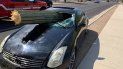 Imagen cortesía del Distrito de Bomberos Noroeste muestra el parabrisas de un auto perforado por un cactus saguaro tras un accidente el 10 de julio de 2019, a las afueras de Tucson, Arizona. Imagen cortesía del Distrito de Bomberos Noroeste muestra el parabrisas de un auto perforado por un cactus saguaro tras un accidente el 10 de julio de 2019, a las afueras de Tucson, Arizona.