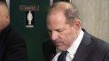 Weinstein agregó a su equipo dos nuevos abogados, Donna Rotunno y Damon Cheronis, ambos de Chicago. Weinstein agregó a su equipo dos nuevos abogados, Donna Rotunno y Damon Cheronis, ambos de Chicago.