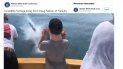 Captura del video publicado en la cuenta de Twitter @A_WhiteShark sobre el encuentro de una familia en Cape Cod Bay con un tiburón. Captura del video publicado en la cuenta de Twitter @A_WhiteShark sobre el encuentro de una familia en Cape Cod Bay con un tiburón.