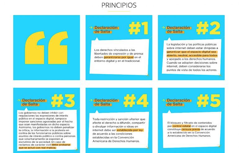 La Declaraci&oacute;n de Salta cuenta con 13 principios en torno a la libertad de expresi&oacute;n. 