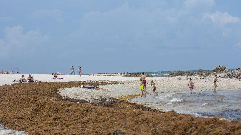 Algunas personas disfrutan de la playa a pesar de las algas.