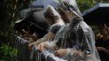 Manifestantes prodemocracia atan lazos blancos, que simbolizan la pureza de las intenciones de los jóvenes participantes, durante una marcha organizada por profesores, en Hong Kong, el 17 de agosto de 2019. Manifestantes prodemocracia atan lazos blancos, que simbolizan la pureza de las intenciones de los jóvenes participantes, durante una marcha organizada por profesores, en Hong Kong, el 17 de agosto de 2019.