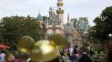 Una chica de Nueva Zelanda portadora de sarampión viajó al sur de California y visitó el parque temático de Disneyland. Una chica de Nueva Zelanda portadora de sarampión viajó al sur de California y visitó el parque temático de Disneyland.
