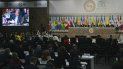 Los países miembros de la OEA aprobaron activar el órgano de consulta del Tratado Interamericano de Asistencia Recíproca (TIAR) Los países miembros de la OEA aprobaron activar el órgano de consulta del Tratado Interamericano de Asistencia Recíproca (TIAR)