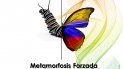 Portada del libro Metamorfosis forzada. Portada del libro Metamorfosis forzada.