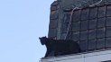 Fotografía proporcionada por la Brigada de Bomberos del norte de Francia de una pantera en la canaleta de un edificio en Armentieres, Francia, el miércoles 18 de septiembre de 2019. Fotografía proporcionada por la Brigada de Bomberos del norte de Francia de una pantera en la canaleta de un edificio en Armentieres, Francia, el miércoles 18 de septiembre de 2019.