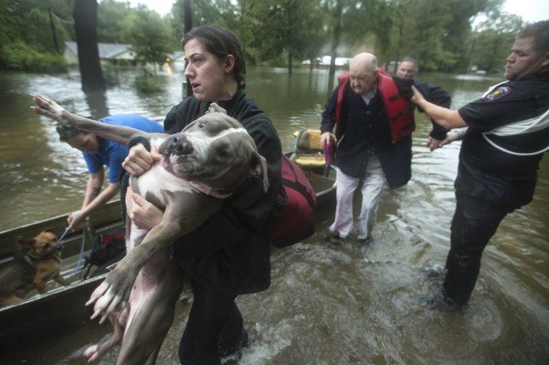 Jade McLain saca al perro Thor de un bote mientras ella y Fred Stewart son rescatados por policías en su barrio inundado por las lluvias provocadas por la tormenta tropical Imelda, el jueves 19 de septiembre de 2019, en Splendora, Texas. 