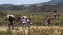 Un grupo de venezolanos camina hacia Brasil a través de un campo, en Pacaraima, estado de Roraima, Brasil, el viernes 22 de febrero de 2019. Un grupo de venezolanos camina hacia Brasil a través de un campo, en Pacaraima, estado de Roraima, Brasil, el viernes 22 de febrero de 2019.