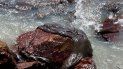 En esta fotografía del 25 de septiembre de 2019 proporcionada por el gobierno del estado de Sergipe, una capa espesa de crudo cubre una roca en la playa de Coroa do Meio, Brasil. En esta fotografía del 25 de septiembre de 2019 proporcionada por el gobierno del estado de Sergipe, una capa espesa de crudo cubre una roca en la playa de Coroa do Meio, Brasil.