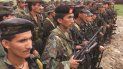 Fotografía de abril del año 2000 que muestra a un grupo de guerrilleros de las FARC en Colombia. Fotografía de abril del año 2000 que muestra a un grupo de guerrilleros de las FARC en Colombia.