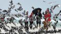 Un grupo de personas observa como un perro asusta a las palomas, en una playa en la isla de Okaloosa, cerca de Fort Walton Beach, Florida, el 18 de octubre de 2019. Un grupo de personas observa como un perro asusta a las palomas, en una playa en la isla de Okaloosa, cerca de Fort Walton Beach, Florida, el 18 de octubre de 2019.