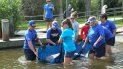 En esta imagen del 17 de octubre cortesía de SeaWorld Orlando, empleados liberan en la naturaleza a un manatí rescatado en Oak Hill, Florida. En esta imagen del 17 de octubre cortesía de SeaWorld Orlando, empleados liberan en la naturaleza a un manatí rescatado en Oak Hill, Florida.