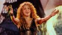 Para Shakira, este largometraje es un tributo a la amistad que tiene con su público, a prueba de todo: Mis fans me han demostrado que son fieles y me apoyan en los mejores momentos. Son ellos los verdaderos protagonistas de esta gira. Para Shakira, este largometraje es un tributo a la amistad que tiene con su público, a prueba de todo: Mis fans me han demostrado que son fieles y me apoyan en los mejores momentos. Son ellos los verdaderos protagonistas de esta gira.