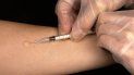 Desarrollan una vacuna que provoca inmunidad en los pulmones frente a la tuberculosis. Desarrollan una vacuna que provoca inmunidad en los pulmones frente a la tuberculosis.