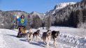 En los Alpes austríacos cerca de Kitzbühel los visitantes pueden moverse en trineos tirados por perros. En los Alpes austríacos cerca de Kitzbühel los visitantes pueden moverse en trineos tirados por perros.