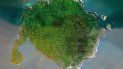 En esta foto del 26 de febrero de 2019, publicada por el Instituto Smithsonian de Investigaciones Tropicales, se muestra una vista aérea de la isla Boná en el Golfo de Panamá. Las autoridades ambientales panameñas declararon el jueves área protegida a esa isla, un sitio de anidación y reproducción de aves marinas locales y migratorias procedentes de Sudamérica. En esta foto del 26 de febrero de 2019, publicada por el Instituto Smithsonian de Investigaciones Tropicales, se muestra una vista aérea de la isla Boná en el Golfo de Panamá. Las autoridades ambientales panameñas declararon el jueves área protegida a esa isla, un sitio de anidación y reproducción de aves marinas locales y migratorias procedentes de Sudamérica.