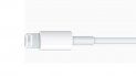 Según el analista Ming-Chi Kuo, Apple tiene en sus planes quitar el puerto Lightning, que la compañía introdujo con iPhone 5, y que es el estándar para transmisión de datos y carga de batería en sus distintos dispositivos. Según el analista Ming-Chi Kuo, Apple tiene en sus planes quitar el puerto Lightning, que la compañía introdujo con iPhone 5, y que es el estándar para transmisión de datos y carga de batería en sus distintos dispositivos.