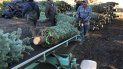 En esta fotografía del 5 de diciembre de 2019, unos trabajadores, la mayoría provenientes de México, cargan árboles de Navidad a un camión en Hupp Farms, en Silverton, Oregon. En esta fotografía del 5 de diciembre de 2019, unos trabajadores, la mayoría provenientes de México, cargan árboles de Navidad a un camión en Hupp Farms, en Silverton, Oregon.