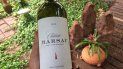 Vino tinto de Bordeaux, o Burdeos, en Francia. Vino tinto de Bordeaux, o Burdeos, en Francia.