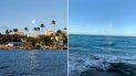 Combinación de imágenes sobre el meteorito que surcó el cielo en Puerto Rico este 17 de enero, publicada por el analista meteorológico y presentador Jean Suriel en su cuenta de Twitter. Combinación de imágenes sobre el meteorito que surcó el cielo en Puerto Rico este 17 de enero, publicada por el analista meteorológico y presentador Jean Suriel en su cuenta de Twitter.