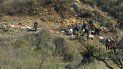 Investigadores trabajan el lunes 27 de enero de 2020 en una colina de Calabasas, California, donde cayó un día antes un helicóptero en el que murieron nueve personas, incluido el exastro del basquetbol Kobe Bryant Investigadores trabajan el lunes 27 de enero de 2020 en una colina de Calabasas, California, donde cayó un día antes un helicóptero en el que murieron nueve personas, incluido el exastro del basquetbol Kobe Bryant
