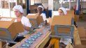 Línea de producción de jabón en Suchel. Línea de producción de jabón en Suchel.