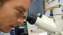 Un científico investiga células cancerígenas. Un científico investiga células cancerígenas.
