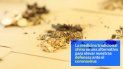 consejos de salud en tiempos de coronavirus consejos de salud en tiempos de coronavirus