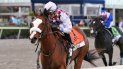En esta imagen proporcionada por el Gulfstream Park, Tiz the Law, montado por el puertorriqueño Manuel Franco, gana el Derby de Florida, disputado sin público el 28 de marzo de 2020, en Hallandale, Beach. En esta imagen proporcionada por el Gulfstream Park, Tiz the Law, montado por el puertorriqueño Manuel Franco, gana el Derby de Florida, disputado sin público el 28 de marzo de 2020, en Hallandale, Beach.