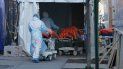 Cuerpos de personas fallecidas por coronavirus son trasladados a un camión frigorífico que sirve como depósito temporal de cadáveres en el Hospital Wyckoff en el distrito de Brooklyn, Nueva York. Cuerpos de personas fallecidas por coronavirus son trasladados a un camión frigorífico que sirve como depósito temporal de cadáveres en el Hospital Wyckoff en el distrito de Brooklyn, Nueva York.