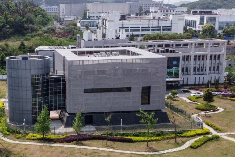 Laboratorio de Wuhan niega responsabilidad por el nuevo coronavirus |  China, Pandemia, coronavirus