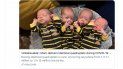 En esta captura de pantalla de la noticia publicada por MSN se ve a los cuatro pequeños con sus ropas a juego. En esta captura de pantalla de la noticia publicada por MSN se ve a los cuatro pequeños con sus ropas a juego.