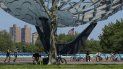 Corredores y ciclistas utilizan mascarillas durante la pandemia del coronavirus mientras pasan el Unisphere, el martes 26 de mayo de 2020. Corredores y ciclistas utilizan mascarillas durante la pandemia del coronavirus mientras pasan el Unisphere, el martes 26 de mayo de 2020.